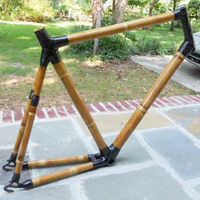 Bamboo Bicycle