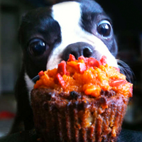 Pupcakes