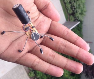 Insect Bot