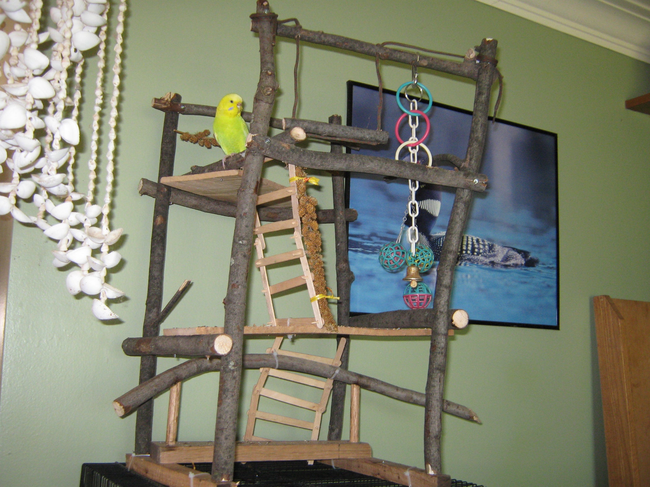 2 Story Budgie Playground Instructables