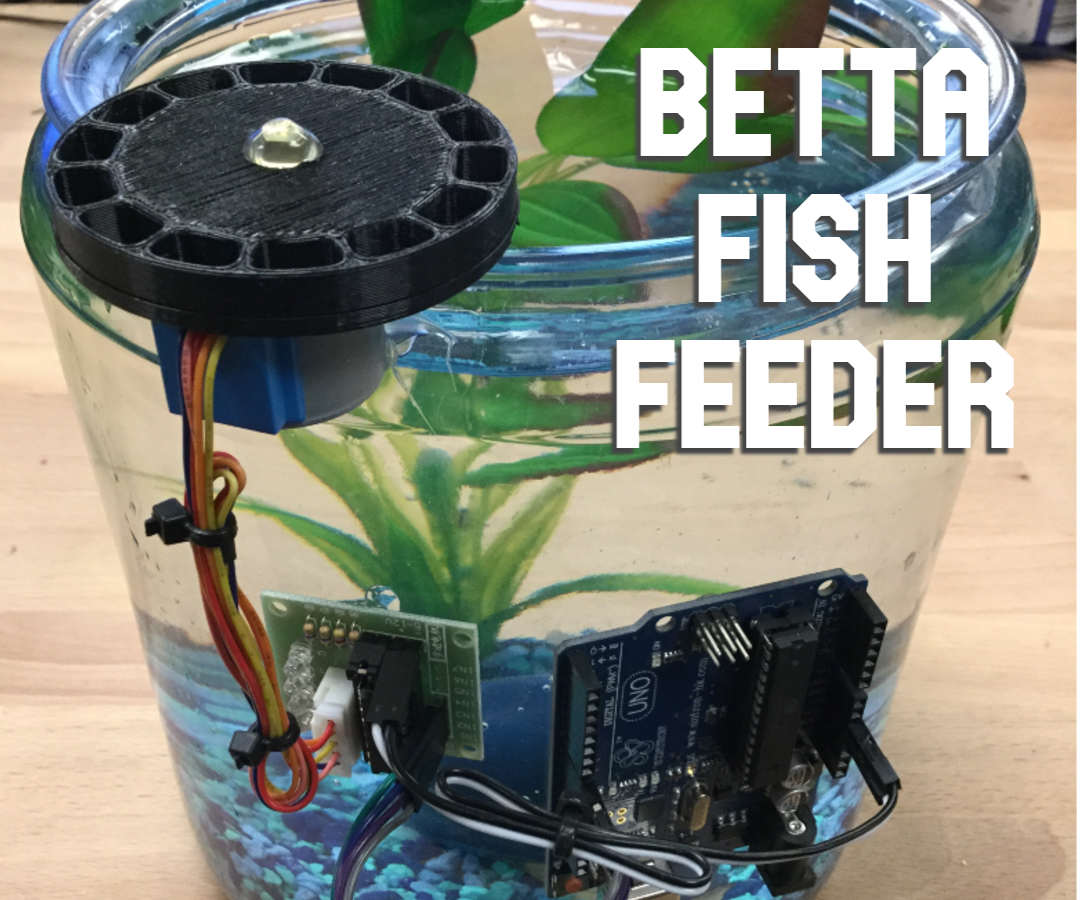 Betta Fish Feeder 6 Steps With Pictures Instructables