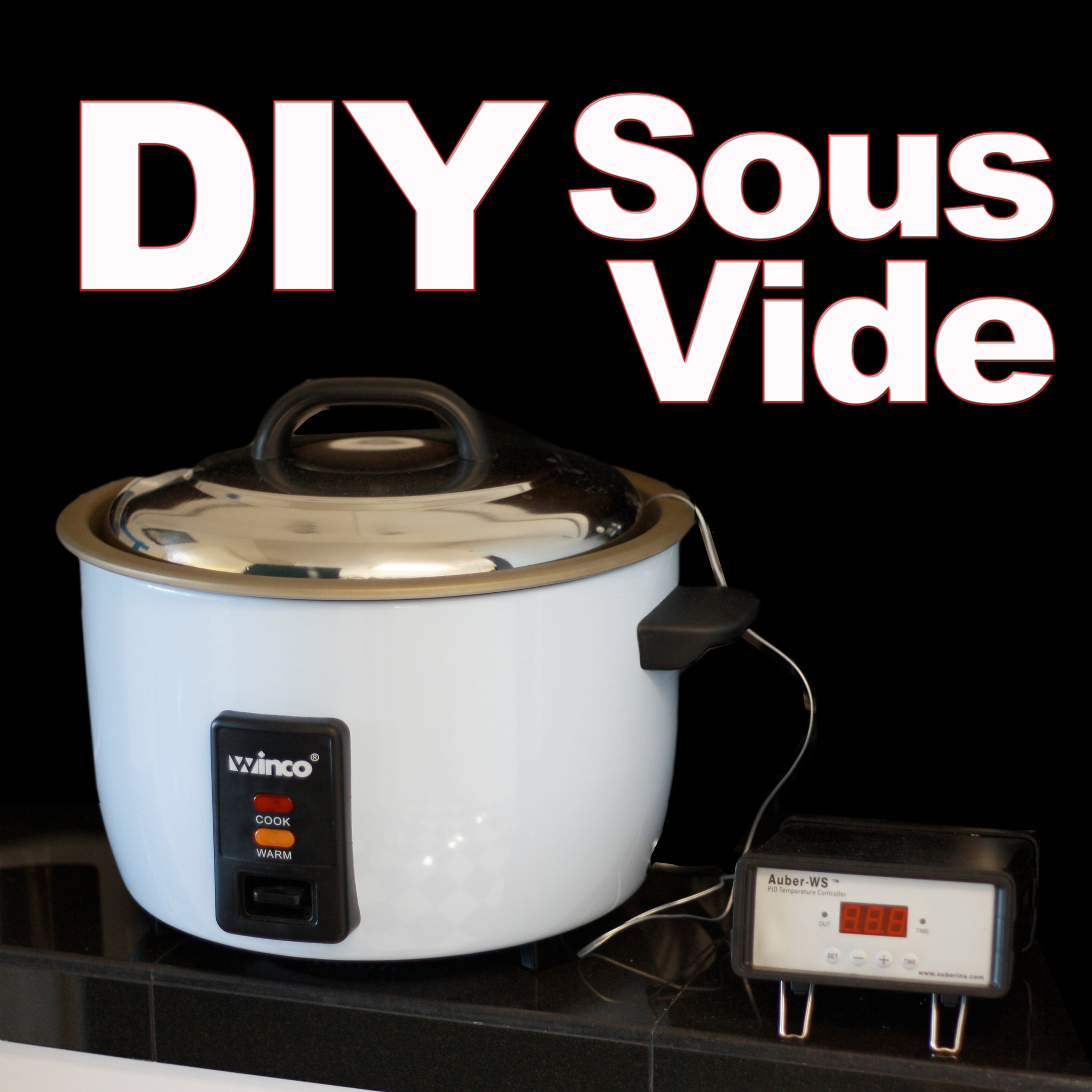 DIY Sous Vide Machines