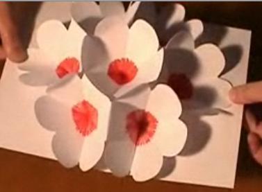 seven flowers awesome pop up card with pictures pop up paper flower card