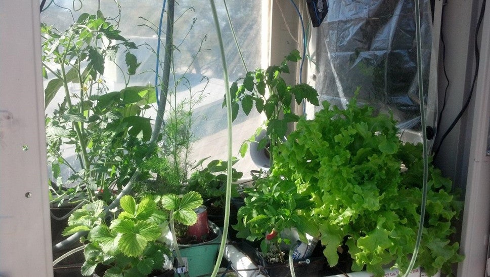 Swamp Cooler Hydroponic Rooftop Greenhouse 9 Steps With