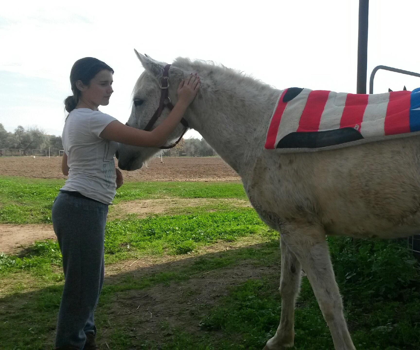 How to Saddle a Horse the Western Way Simply 4 Steps Instructables