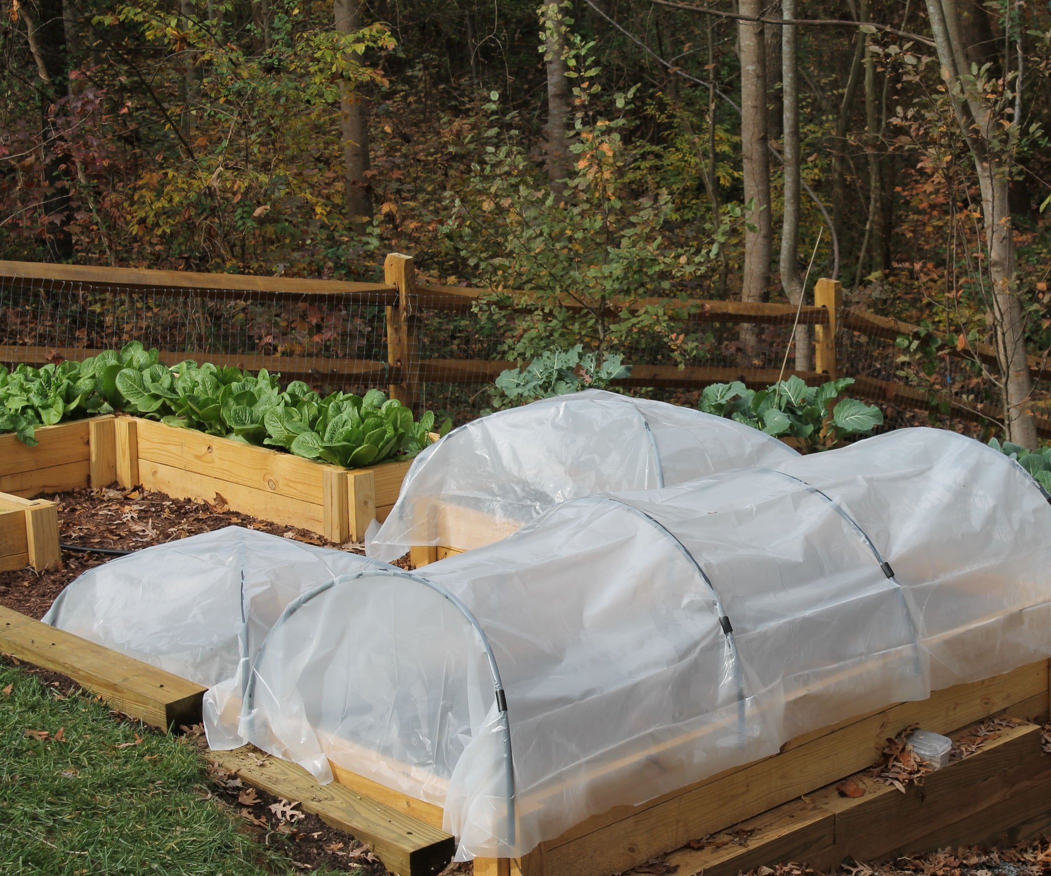 Simple Hoop Houses for Raised Beds : 5 Steps (with Pictures
