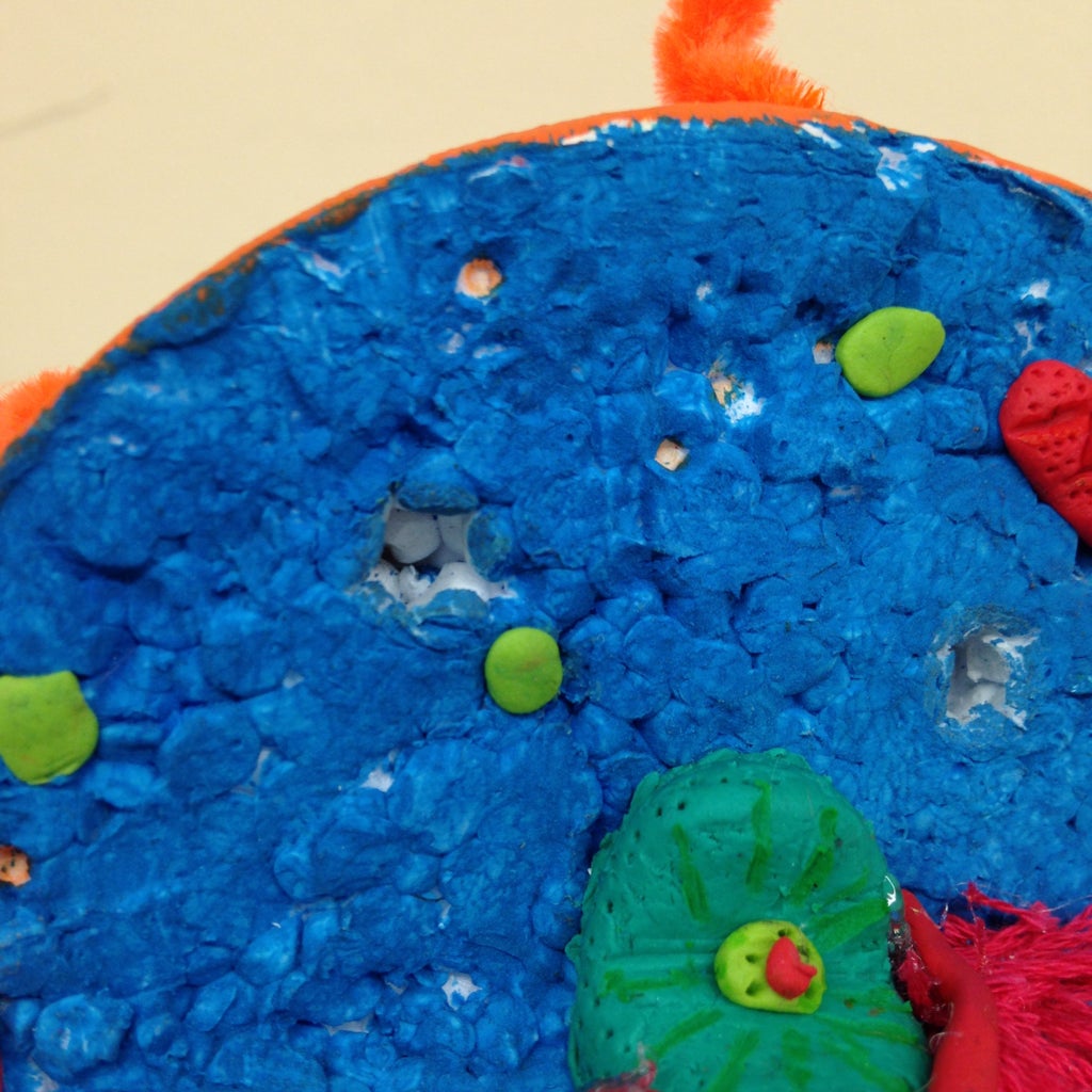 Animal Cell Learning Tool 18 Steps With Pictures Instructables