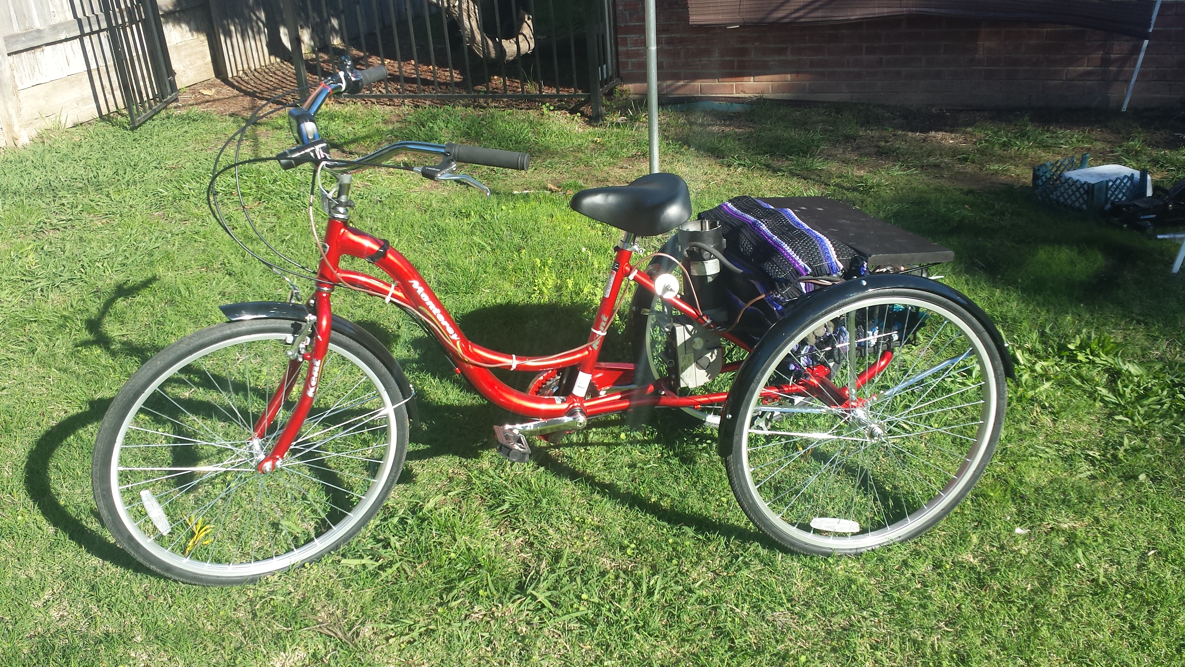 homemade electric trike
