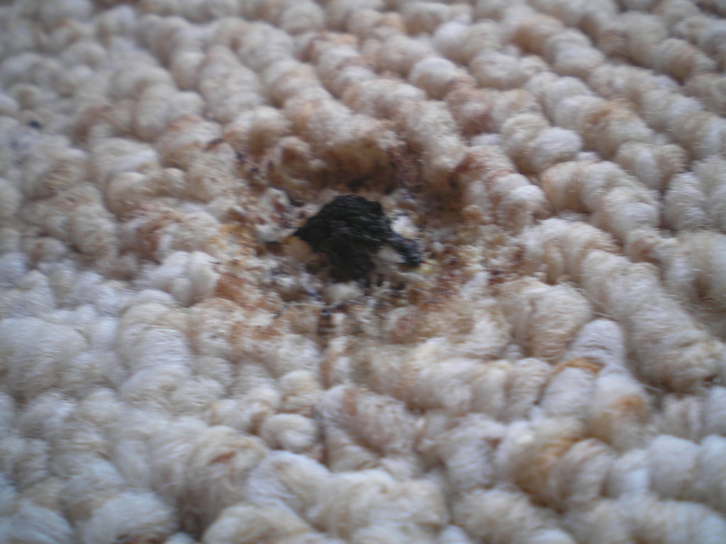 Repair Cigarette Burns On Carpet 4 Steps With Pictures Instructables