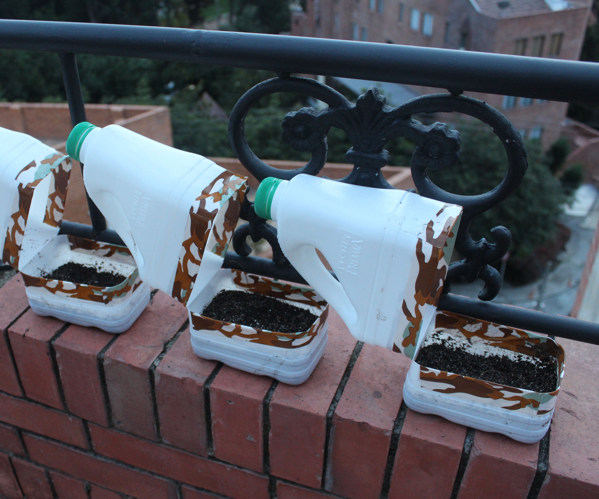 Mini Milk Jug Greenhouse 3 Steps (with Pictures) Instructables