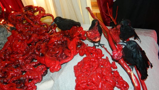Guts and Gore Halloween Props 8 Steps (with Pictures) Instructables
