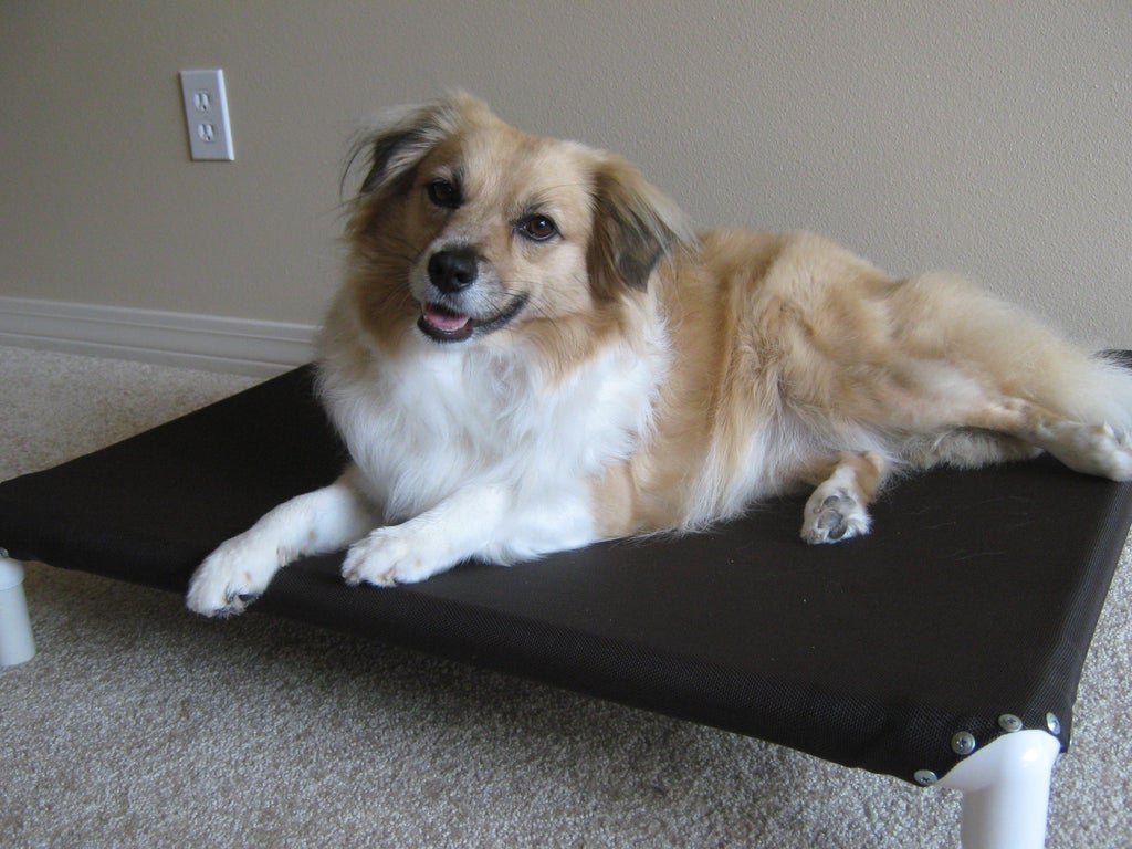 Build A Dog Cot For Around 10 15 Steps Instructables