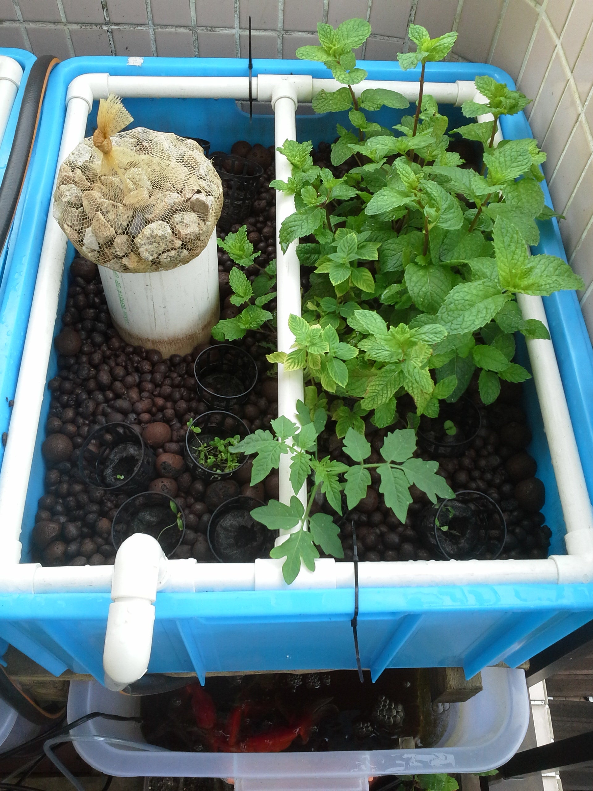 diy aquaponics system for small space - instructables