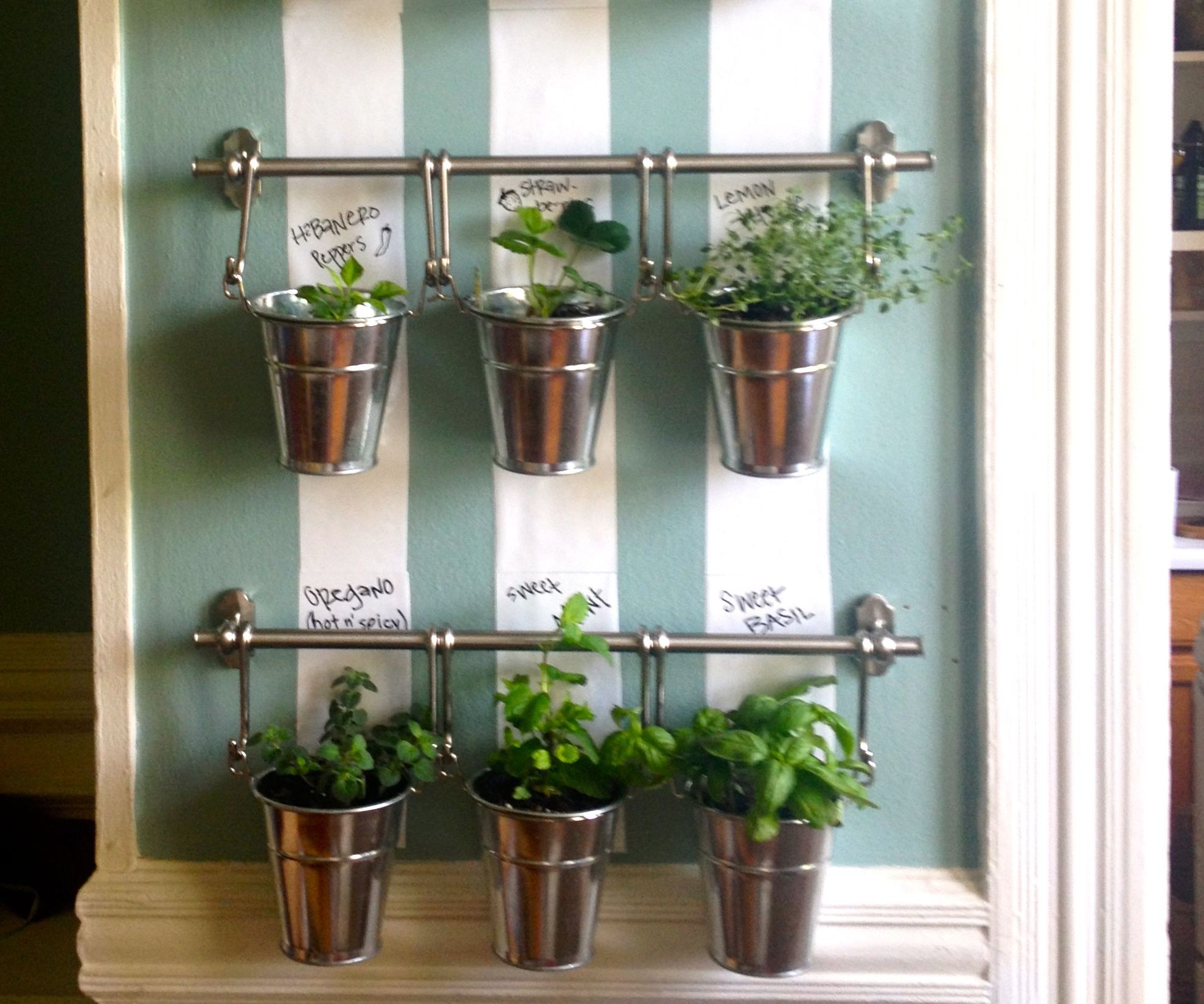 Hanging Indoor Herb Garden : 3 Steps - Instructables