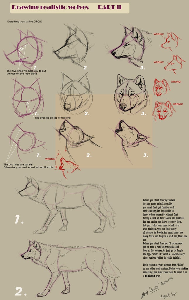 Guides To Drawing Wolves 4 Steps Instructables,Coronavirus Drawing Competition Pictures