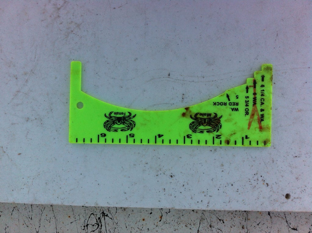 Catch Crab 5 Steps With Pictures Instructables