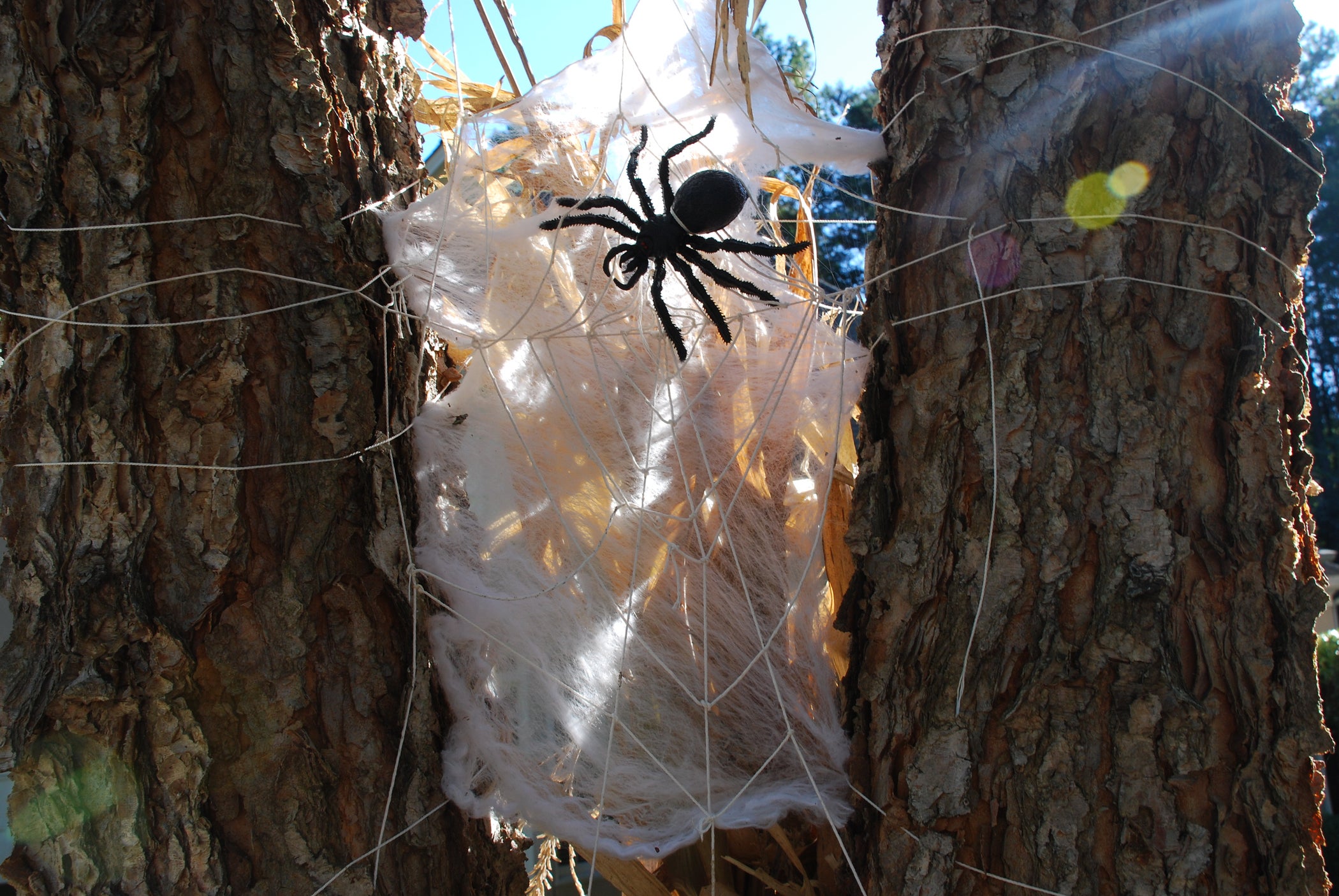 Wicked Halloween Spider Web 4 Steps Instructables