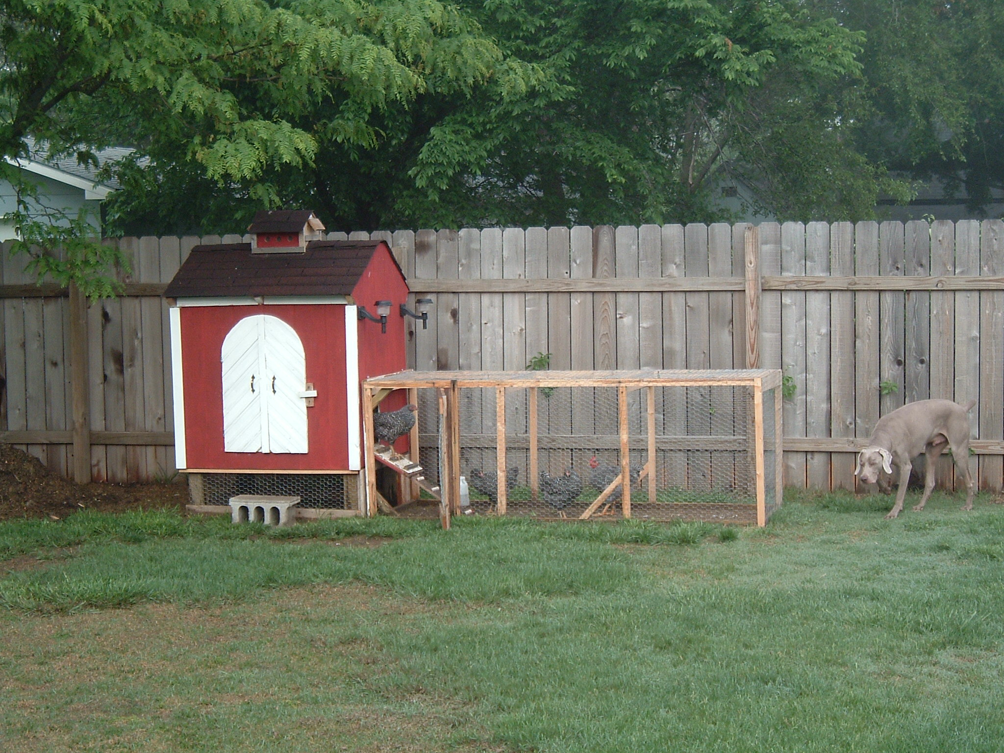 Backyard Chicken Coop 6 Steps With Pictures Instructables