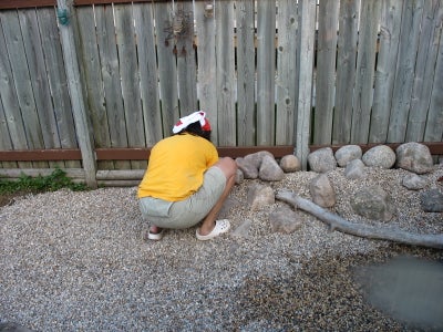 Create Waterfall Feature in Your Backyard : 10 Steps - Instructables