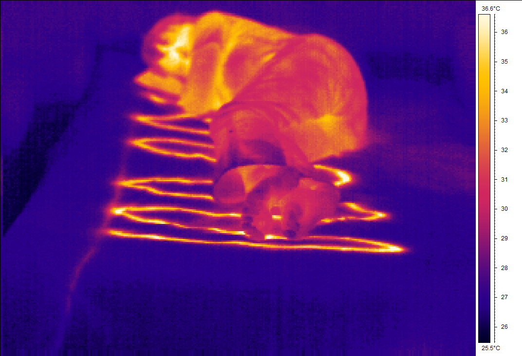 DIY Carbon Heated Blanket 8 Steps (with Pictures) Instructables