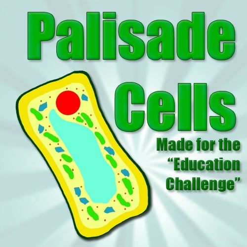 Palisade Cell Structure (Education Challenge Entry)