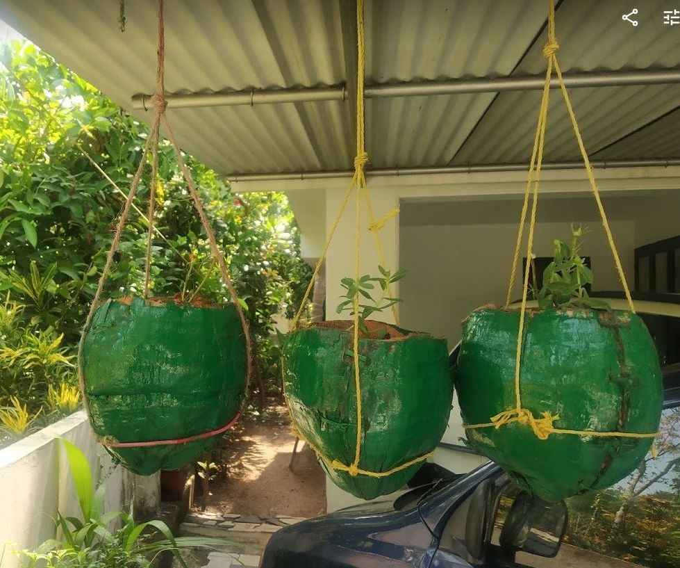 Coconut Husk Gardening Pot - Instructables