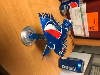 Pepsi Bird 4 Steps With Pictures Instructables