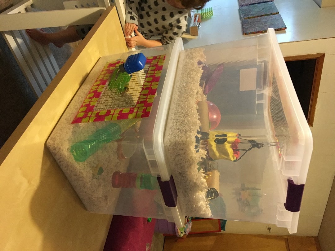 Hamster "Bin Cage" Tutorial 9 Steps Instructables