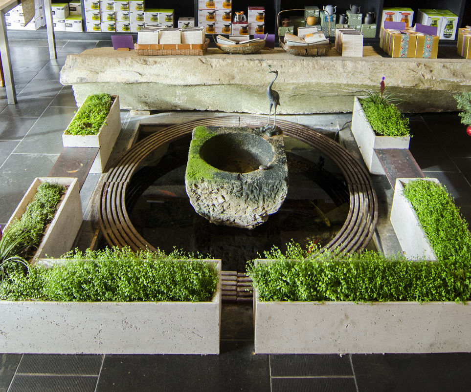 ShapeCrete :: Hypertufa / Concrete Planters for Teance Tea Shop : 8
