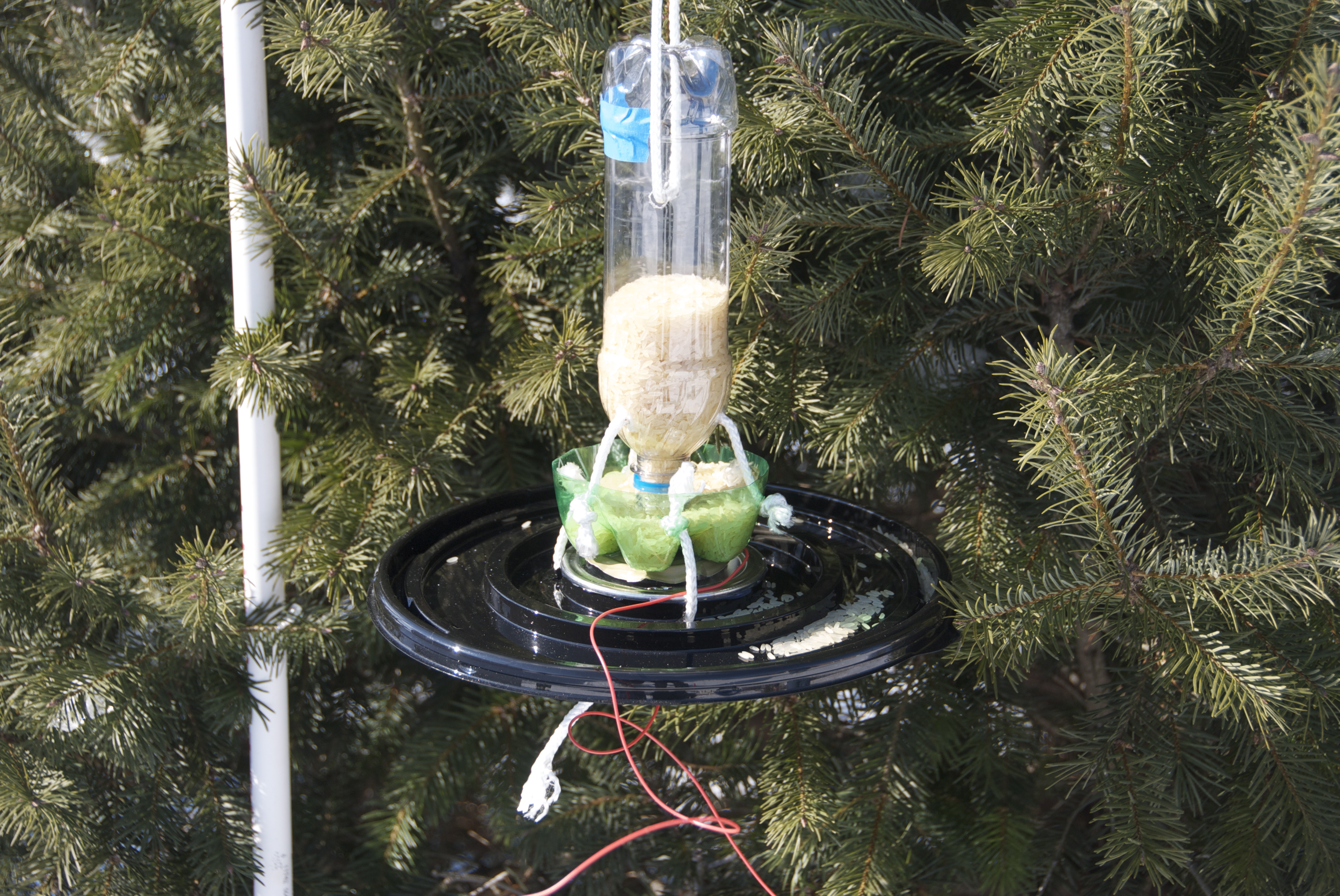 Beeping Plastic Bottle Bird Feeder 7 Steps With Pictures
