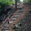 Young Marines Parade Float 10 Steps With Pictures