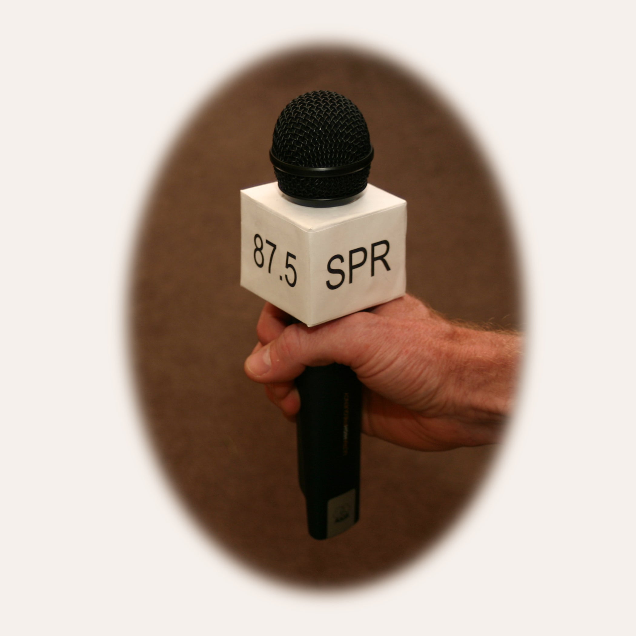 Microphone Flag 9 Steps Instructables