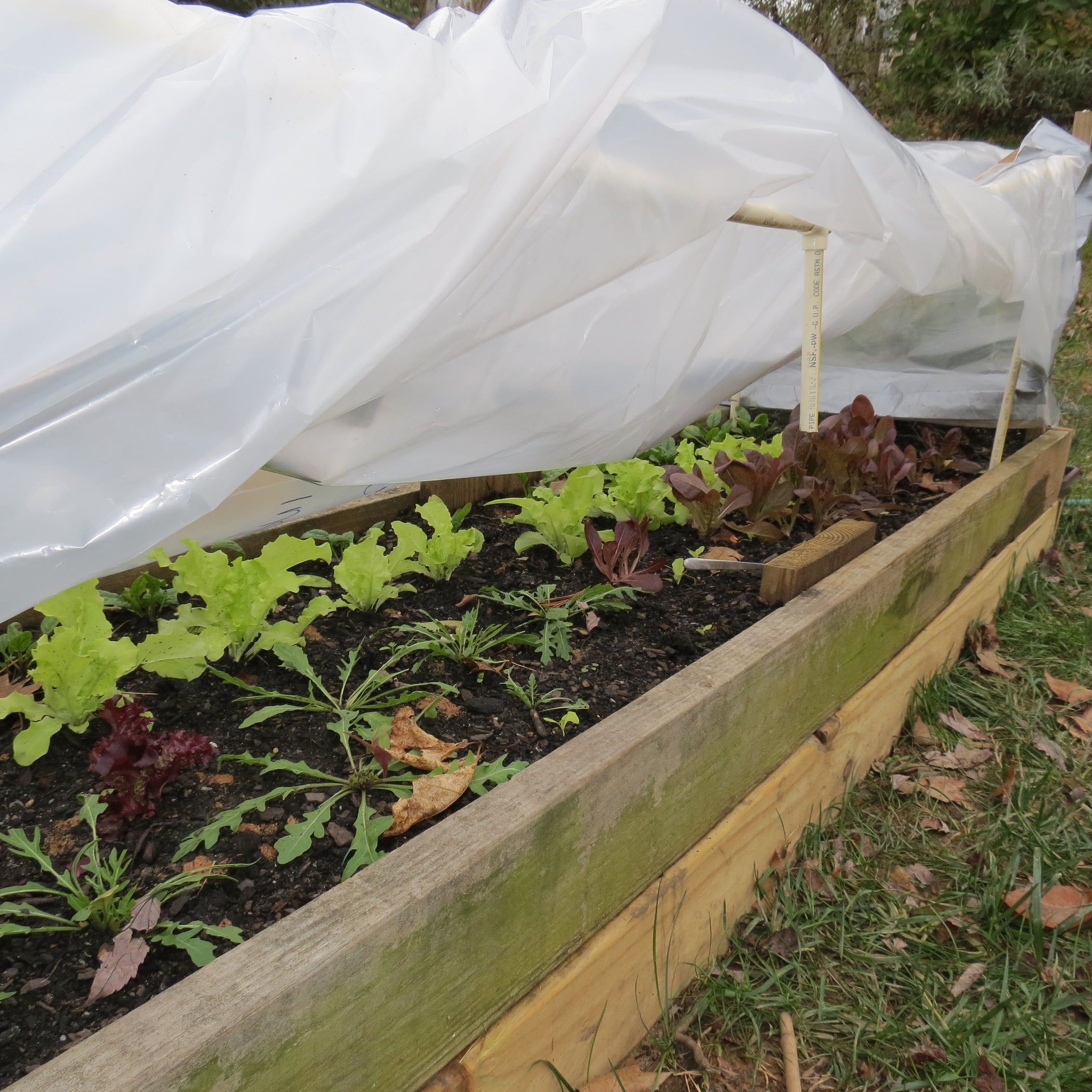 How to Build a Collapsible PVC Garden Raised Bed Greenhouse