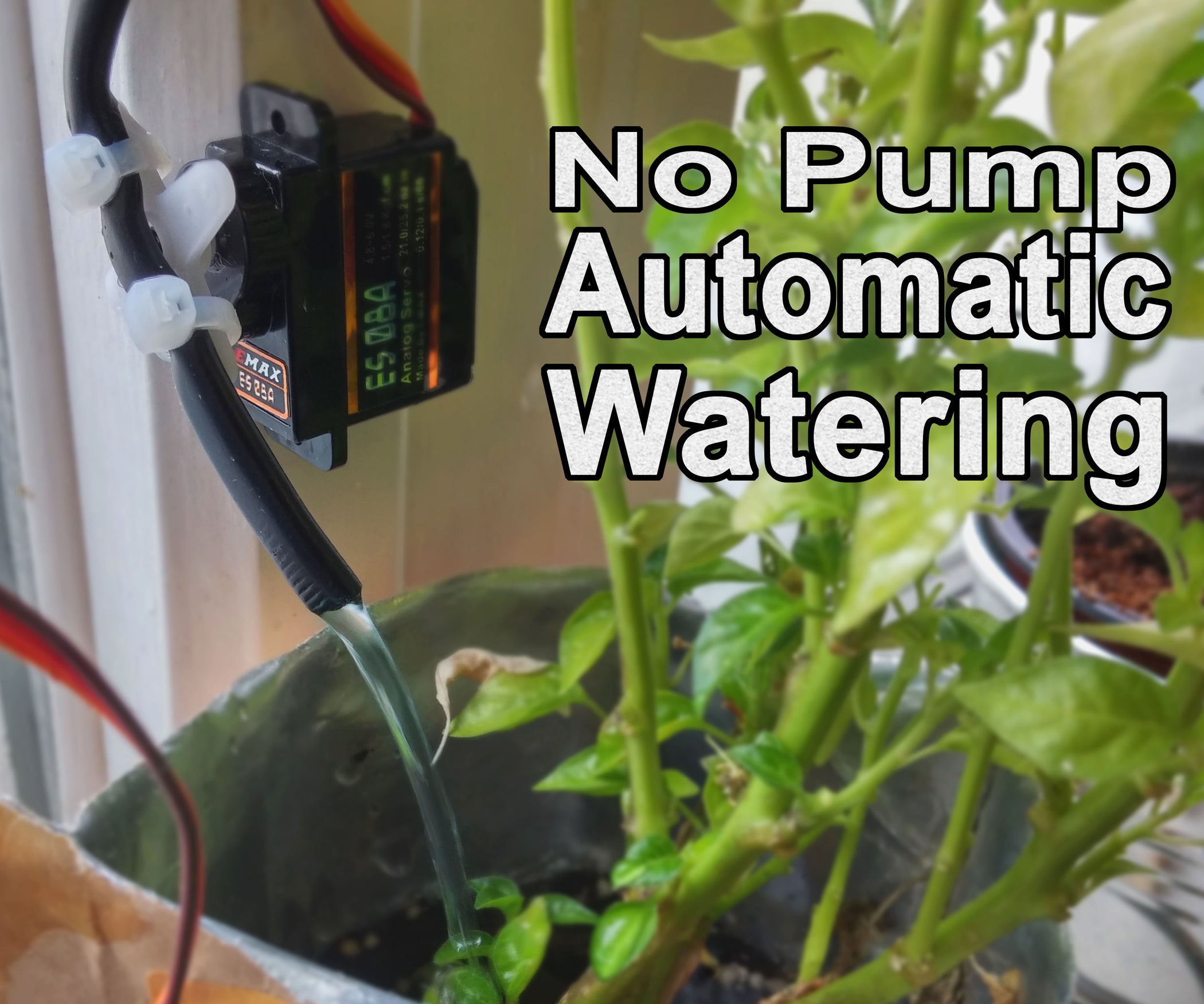 No Pump Automatic Watering! 7 Steps (with Pictures) Instructables