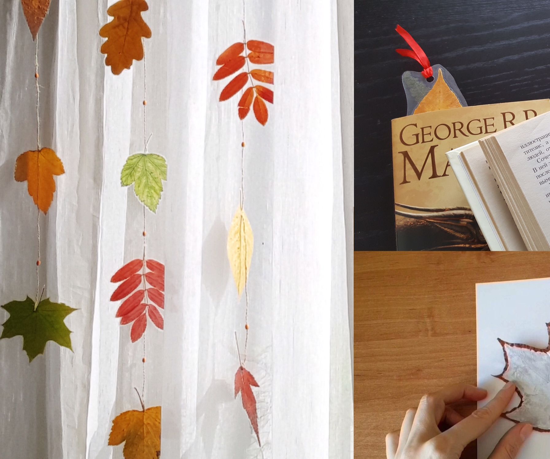 Laminated Leaves for Fall Crafts. No Laminator Needed 5 Steps (with