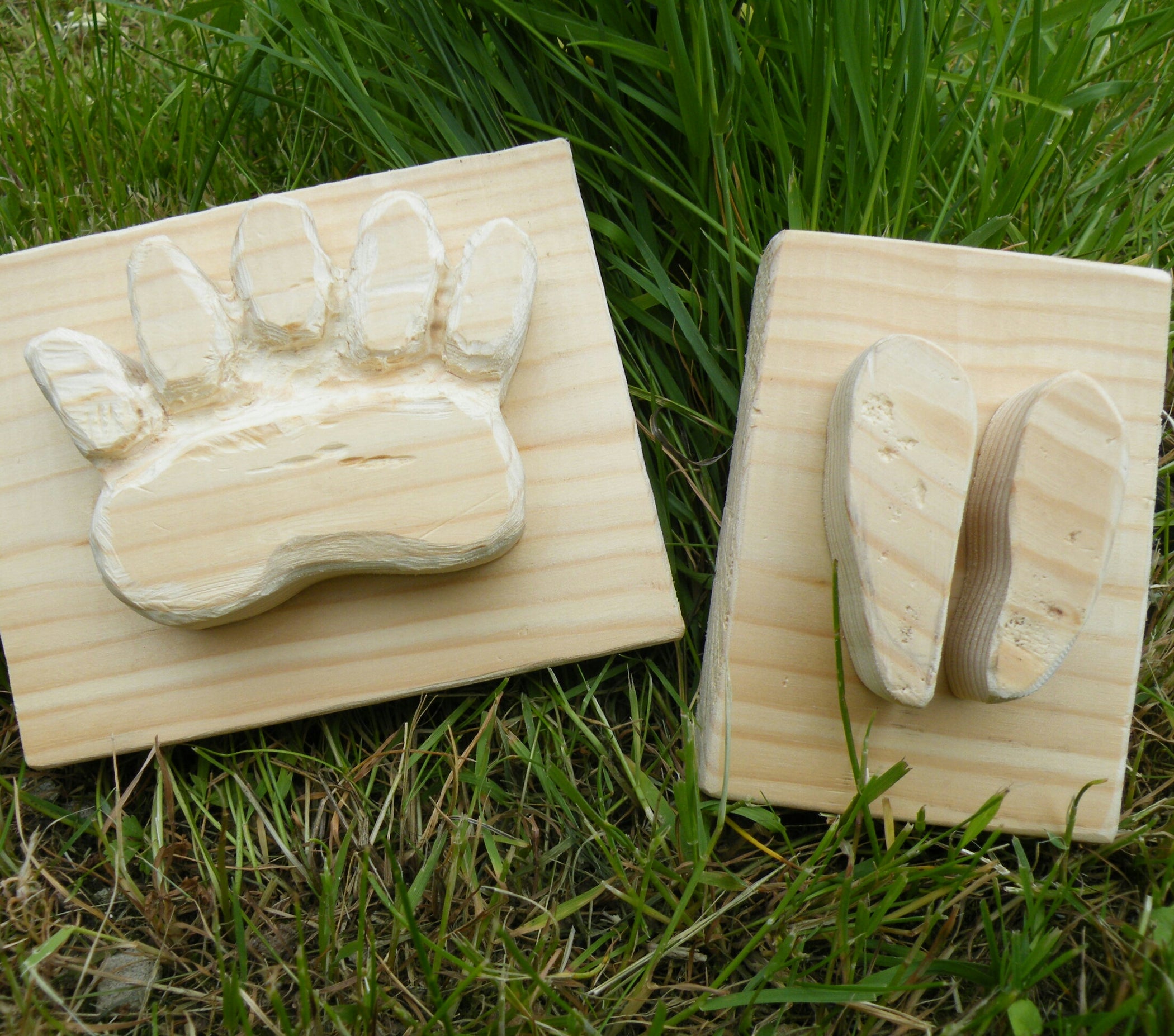 Animal Tracks for Plaster Casting. 5 Steps (with Pictures) Instructables