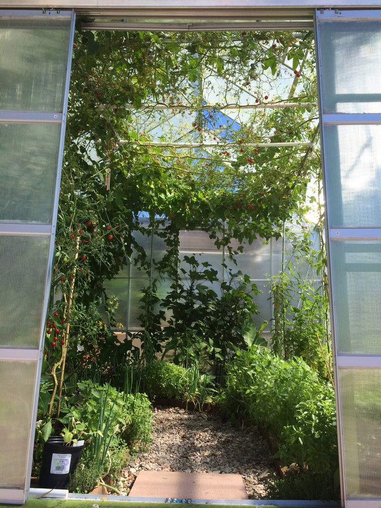 Greenhouse Modifications For Hot Climates 8 Steps With Pictures Instructables