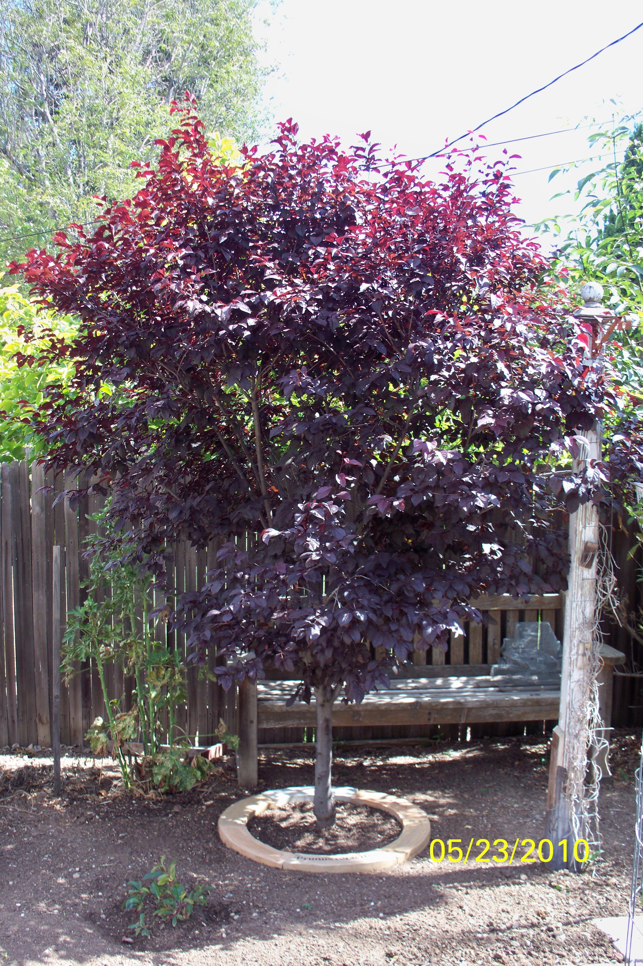 How to Make Concrete Tree Rings 12 Steps (with Pictures) Instructables