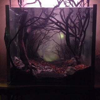 Dark And Eerie Fish Tank 18 Steps With Pictures Instructables