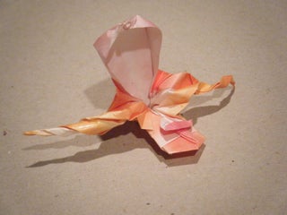 Origami Golden Slipper Orchid 20 Steps Instructables