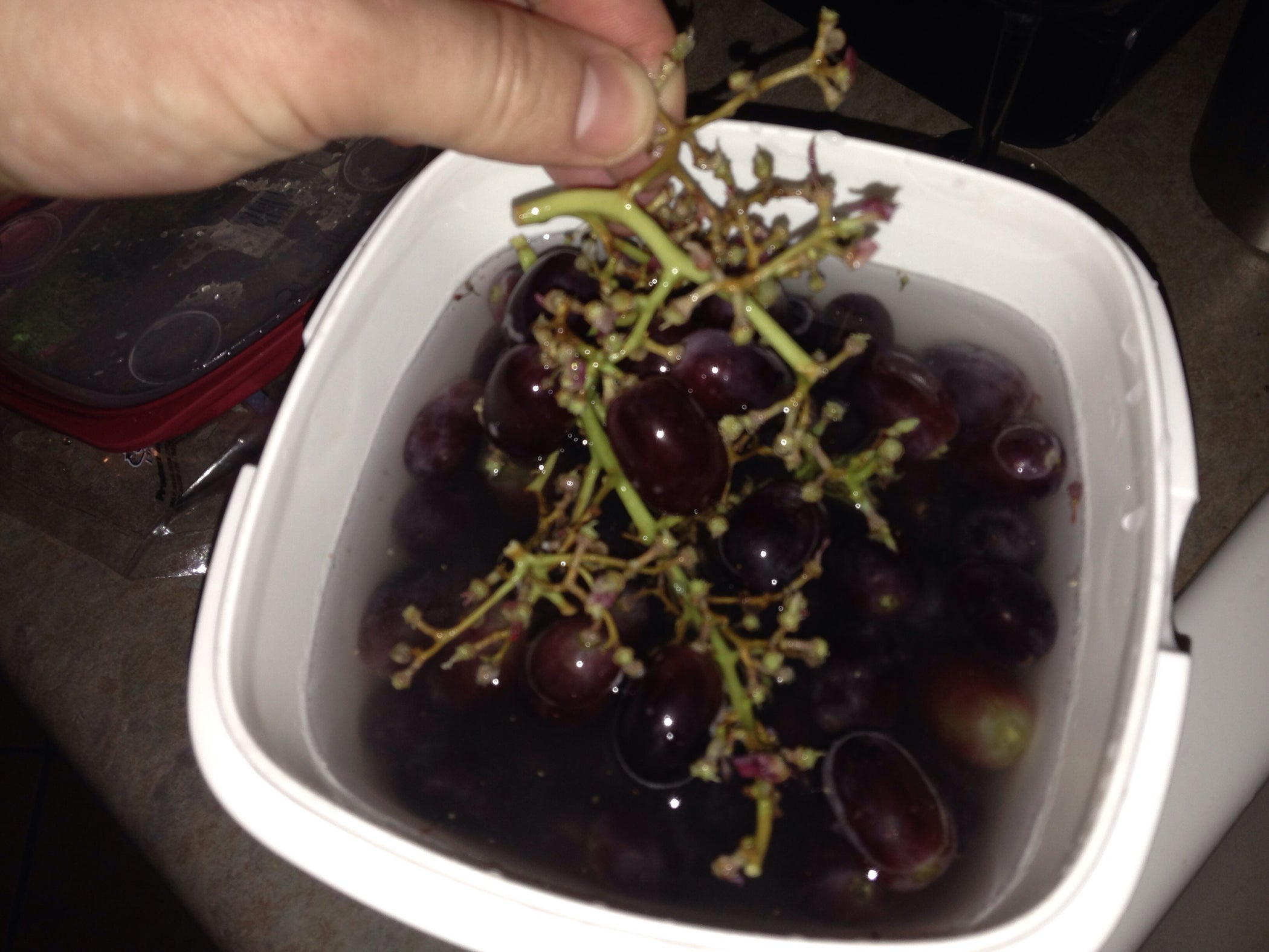 EASILY Destem Grapes Instructables