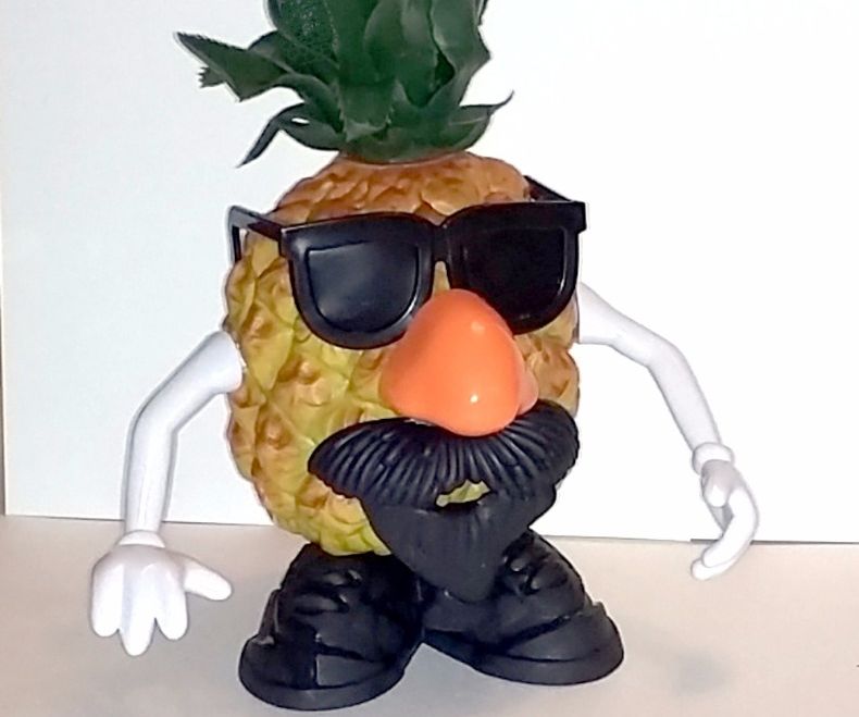 Mr Pineapple Head 5 Steps Instructables