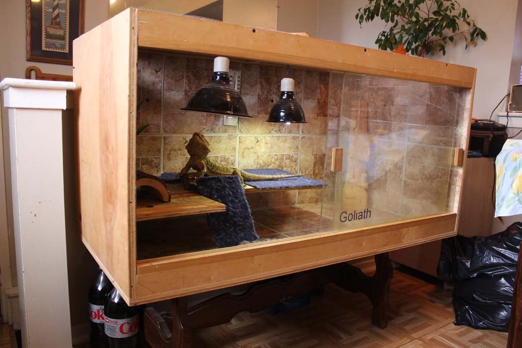 Bearded Dragon Enclosure 5 Steps With Pictures Instructables