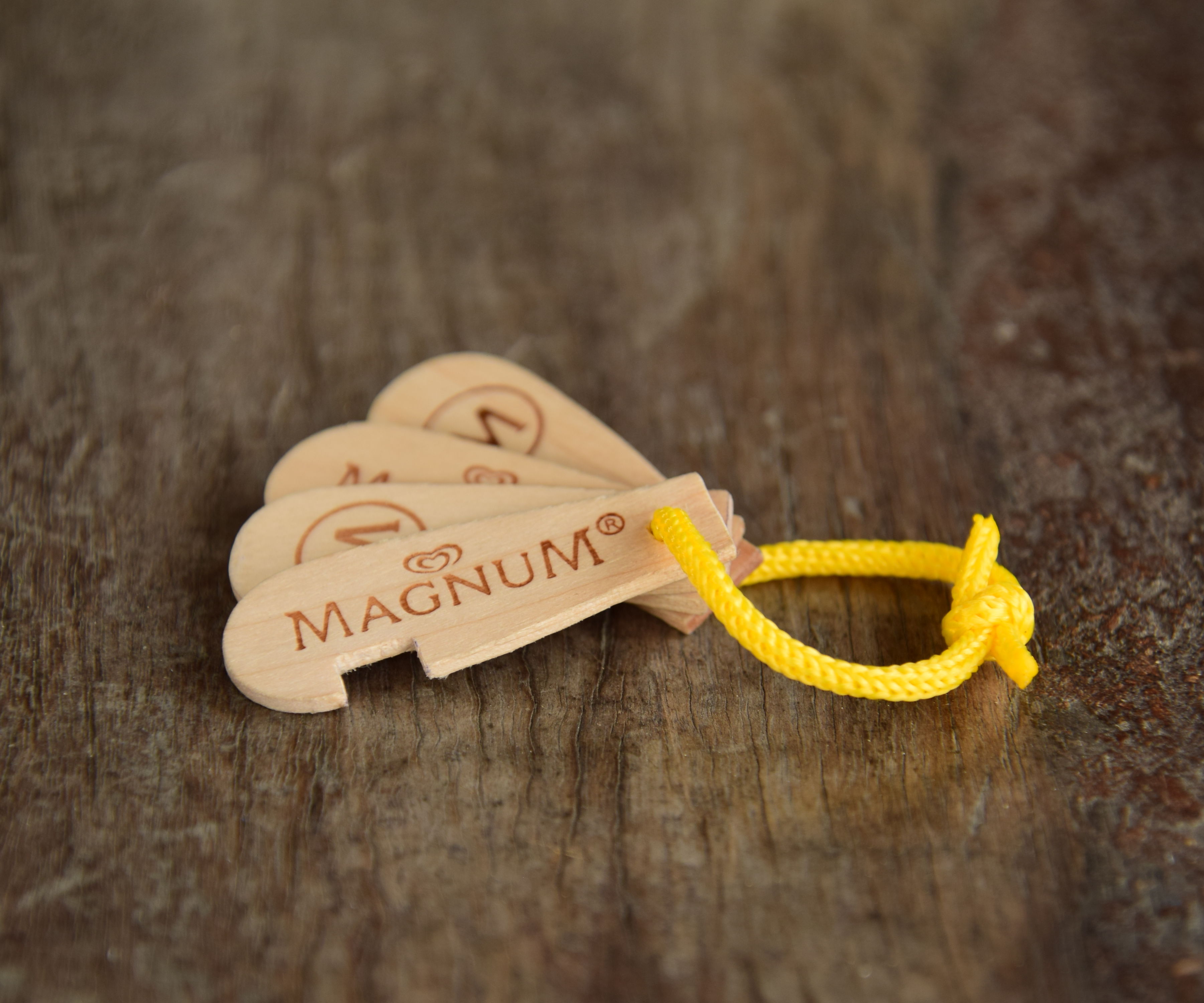 Graphics and More I Love Ice Cream Written on Paper Wood Wooden Rectangle Key Chain