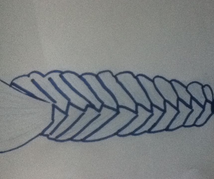 How to Draw a Plait : 5 Steps - Instructables
