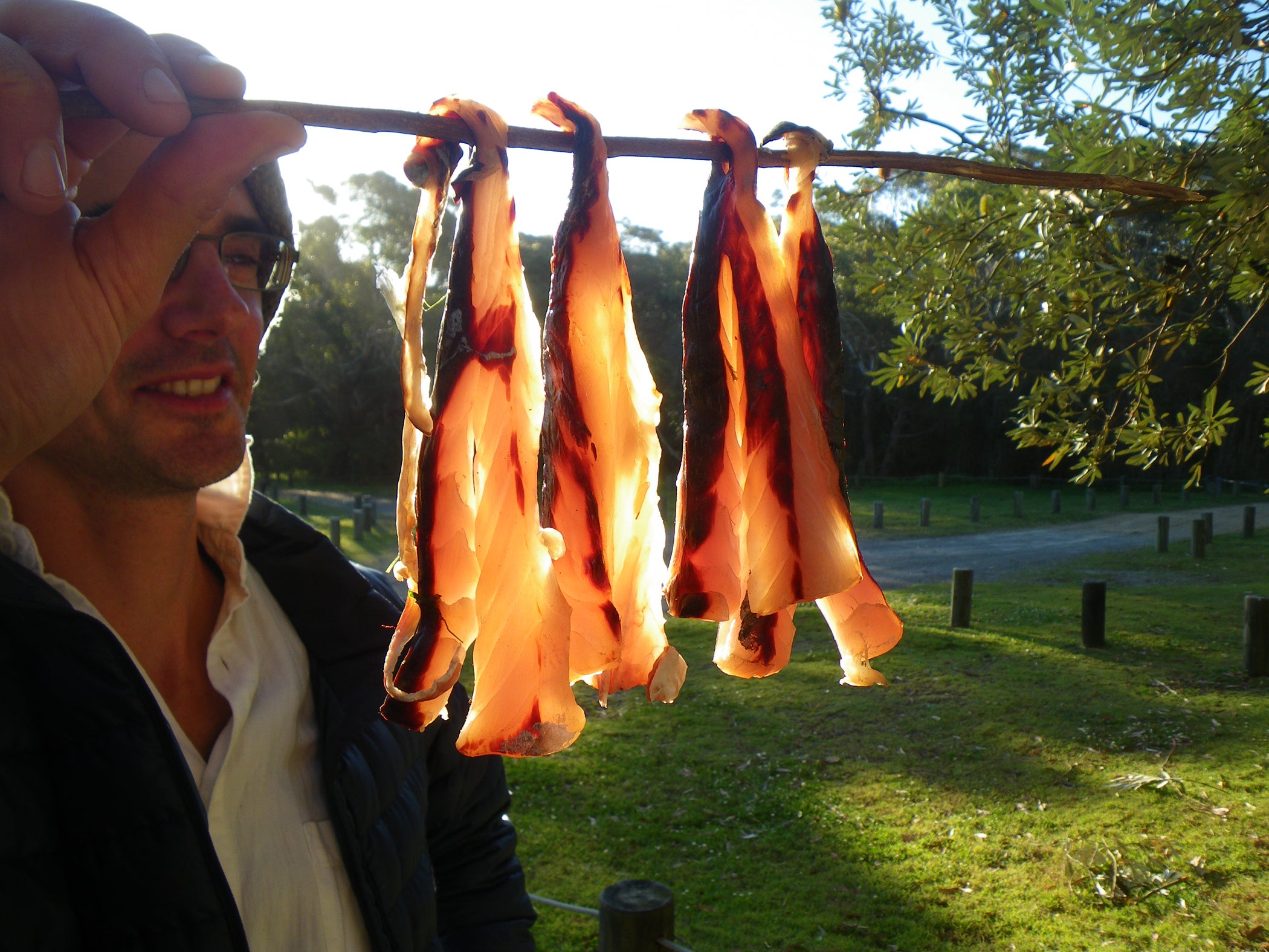 Drying Fish With Sea Brine 4 Steps (with Pictures) Instructables