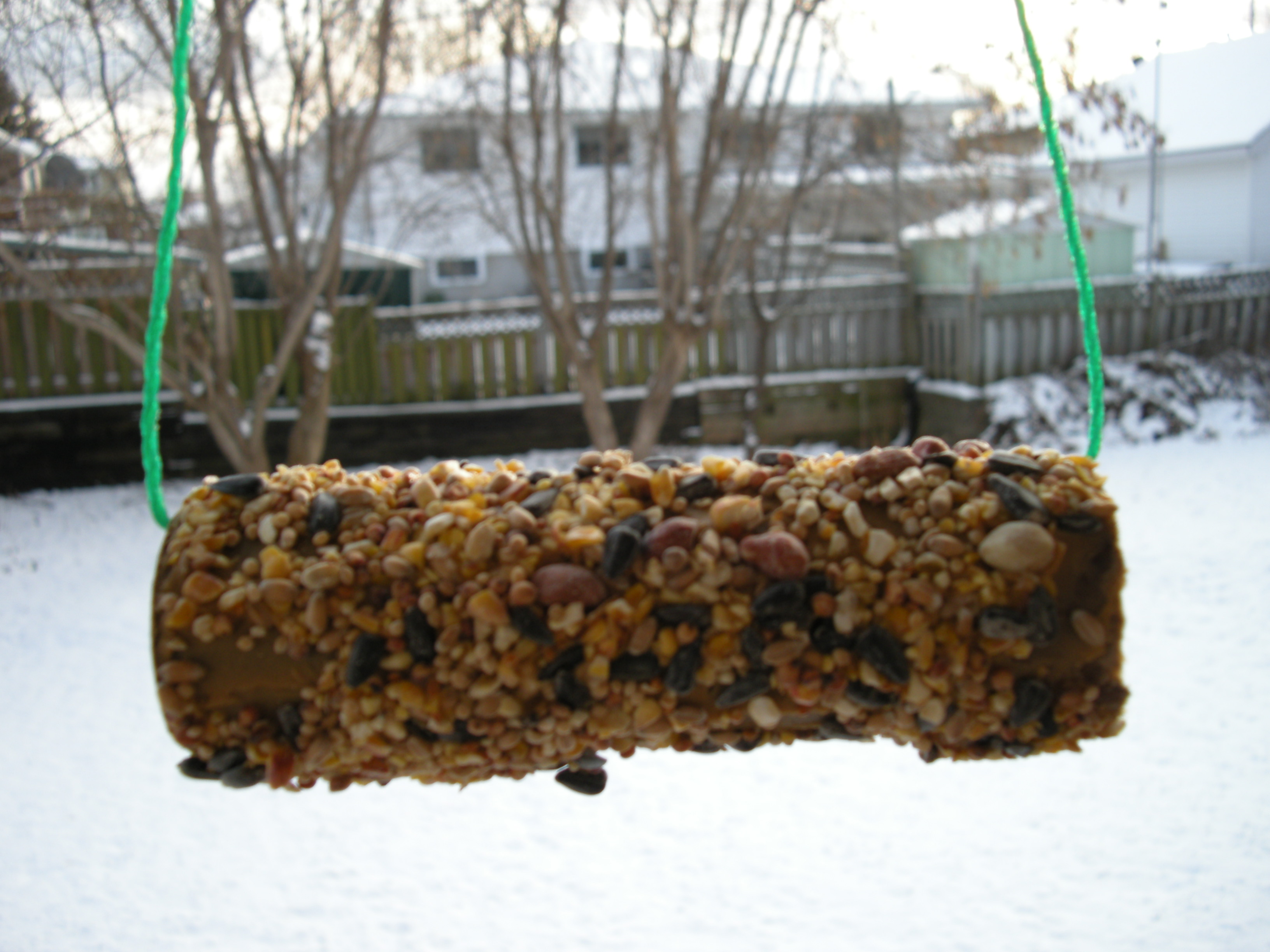 Peanut Butter Bird Feeder 3 Steps With Pictures Instructables