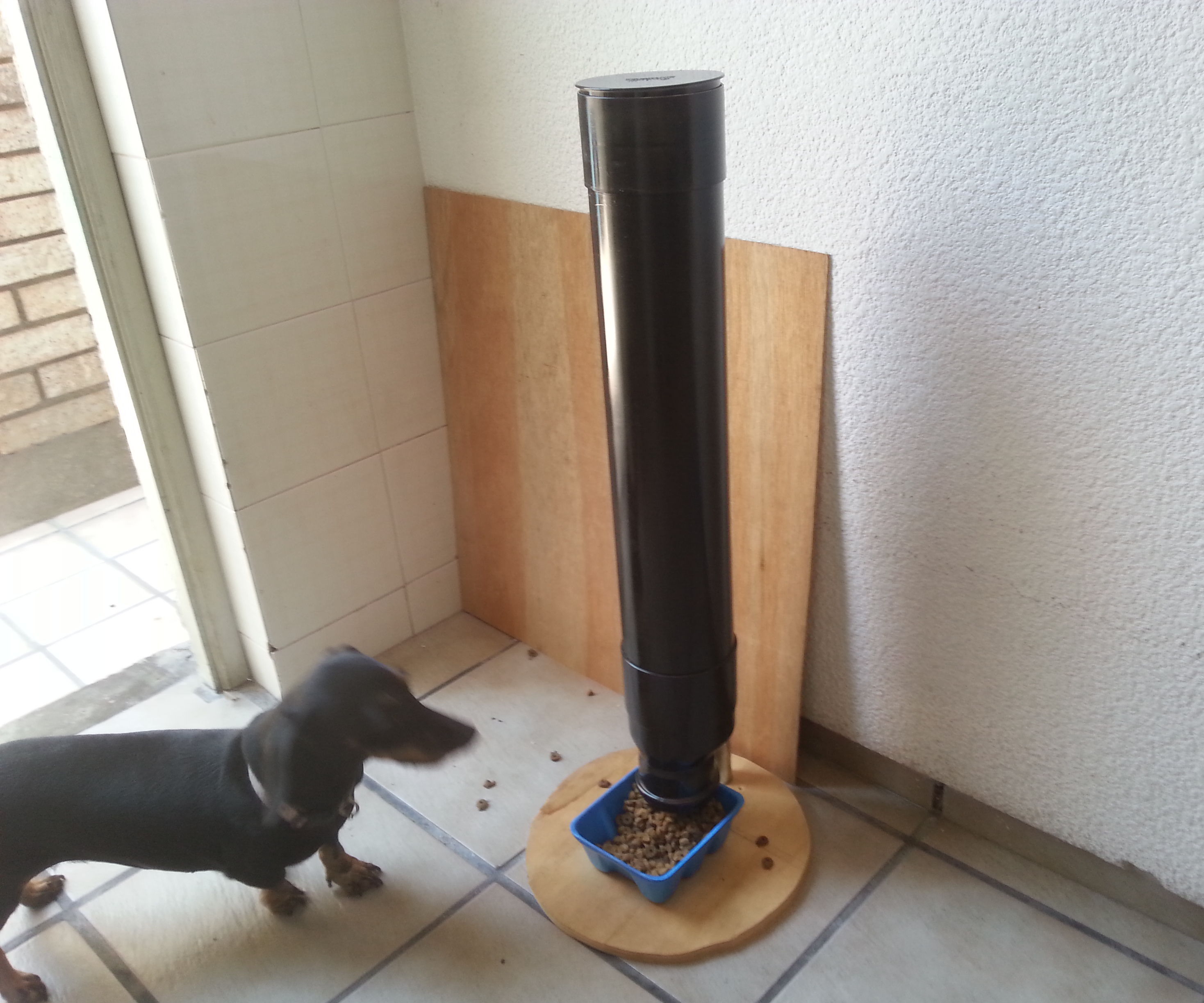 Auto Pet Feeder 4 Steps Instructables
