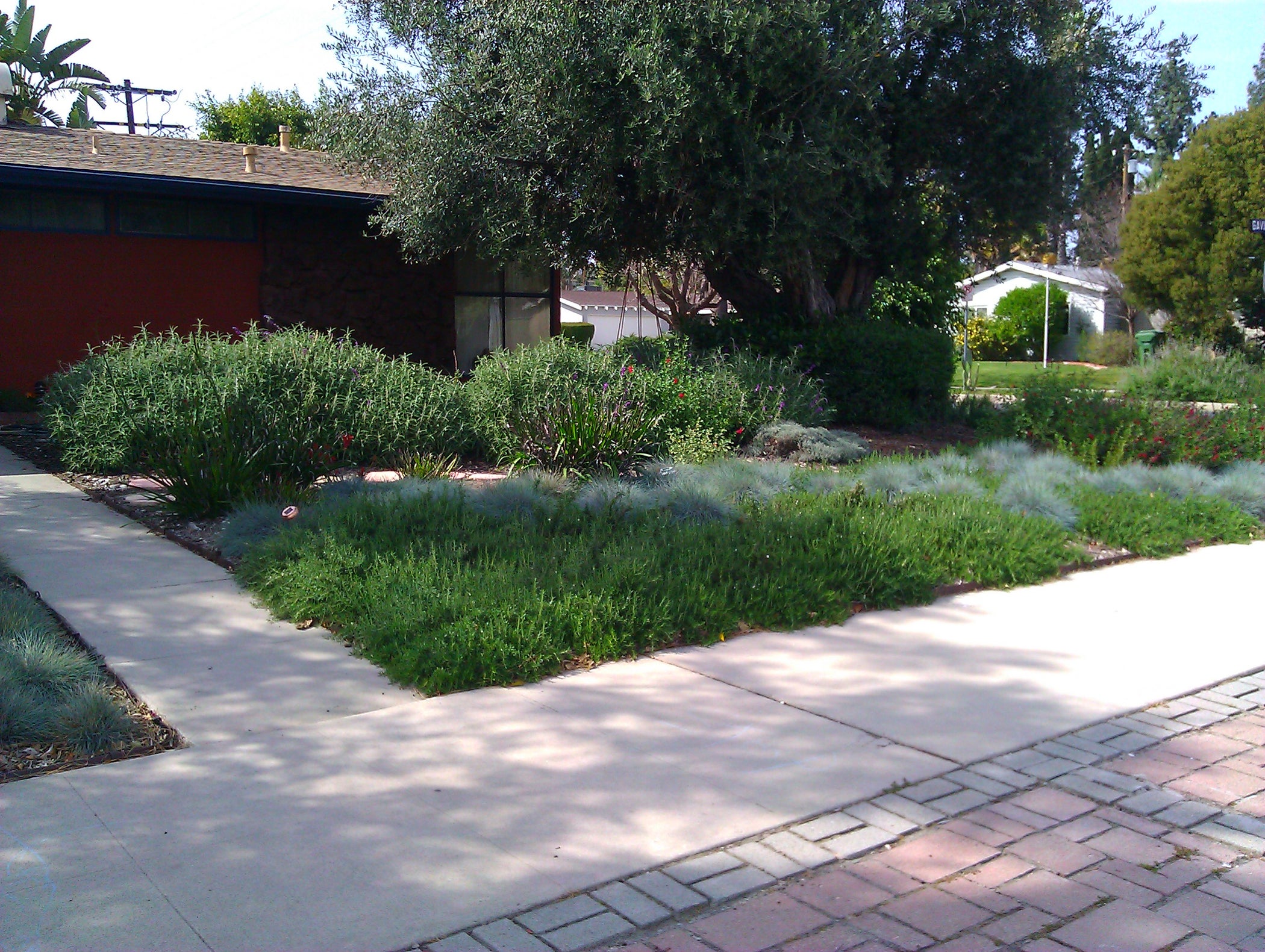 Smother and Replace Your Lawn With Mulch 10 Steps (with Pictures)