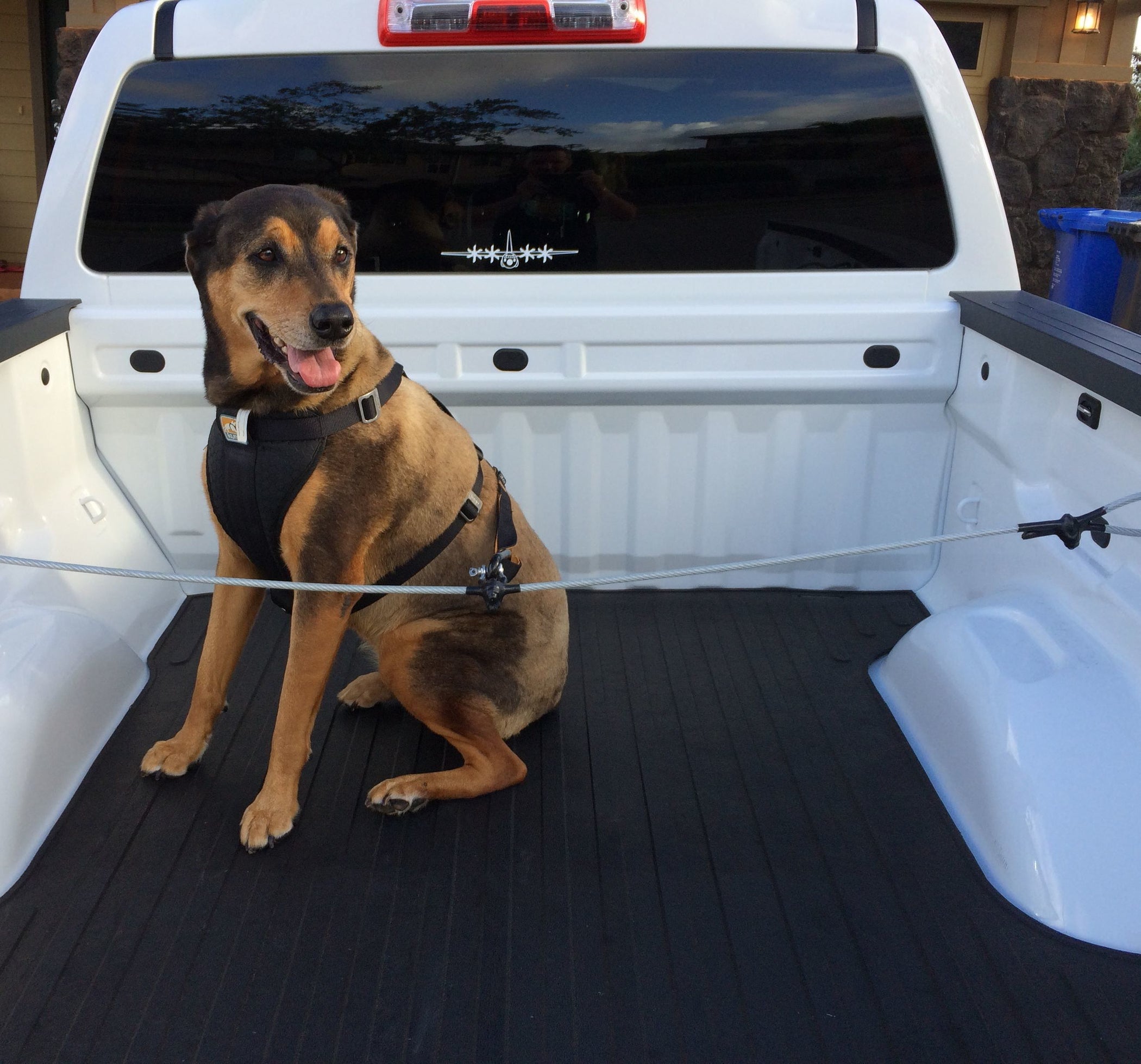 Safety Harness for Dog to Ride in Pickup Truck Bed : 6 Steps (with ...